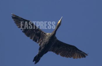 EA280837, Eastpress, Porvoo, Finland